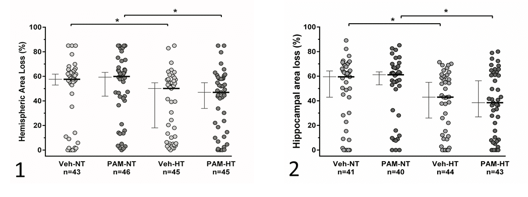 Fig 1 Hemispheric (1) and hippocampal (2) area loss after severe HI brain injury